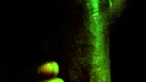 Sloppy Ebony Blowjob Queen