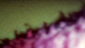 Indian Hidden Encounter In Secret Spot