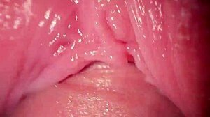 我狠狠干了我的少女继妹，在她紧致小穴里射了！