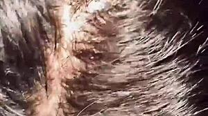 late-night latina deepthroat pov blowjob ends with cum filling her mouth intriguingly.