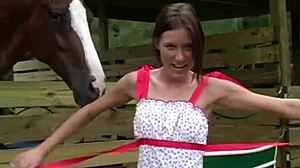 Brookeskye Fingers Her Petite Body at Horse Yard