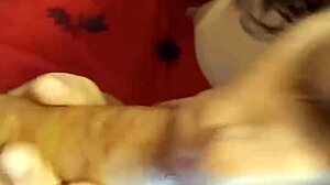 Amateur Brunette Bonnie Can't Resist Sitting For A Minute - Clayd Porn Complete On Red