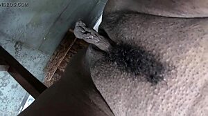 Debora Blu and Young Brazilian Girls Explore Golden Shower Dreams