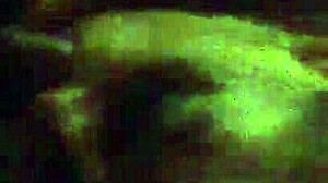 My friends explore new adventures together