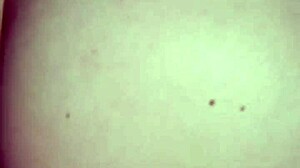 Anal sex leads to creampie tonight?