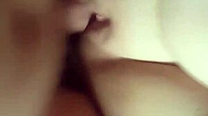 Vixen intensely enjoys sucking and fucking my cock