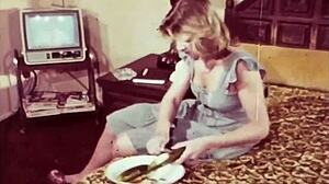 my secret life with vintage flatmates unveiled