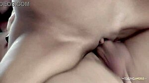 Brunette babe deepthroats huge cock to fulfill wild fantasy.