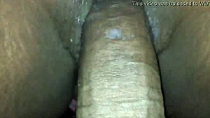 Bounce and Clap with Mac & Cheeses Wet Action