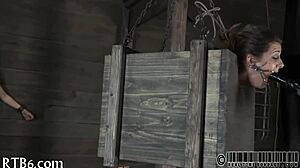 this extreme sadomasochism is intense and wild