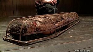 Ebony Slave Bound and Fingered in Hardcore Back Arch Bondage