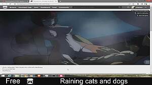 heavy rain with cats and dogs falling