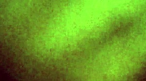 Papi pide video y kari cumple