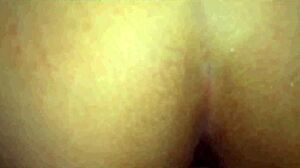 Kitten wants milk - internal release