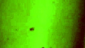 Oh, Mistress Afentres, You're So Dominant And Commanding In Action!