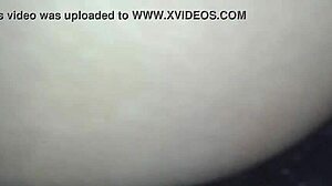 More Mexican Content With Detailed Cultural Insights