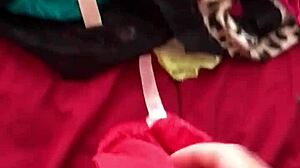 Man Sniffs Wife's Sexy Panties at Work