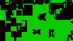 Quick verification video check