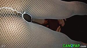 Ass free amateur flashing porn video