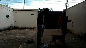 Innocent Pigtail Latina Teen Sucks a Massive Cock with Glee