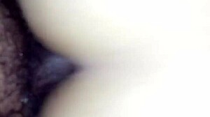 Brazilian milf gives pussy and ass to black guy