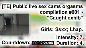 public live cams compilation