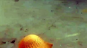 Ebony Couple Fucking Near Door For Fresh Air