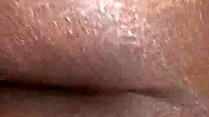 man, stripper takes on porn star in wild sexy showdown tonight