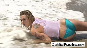 Dahlia Sky's intense solo masturbation compilation with pussy play