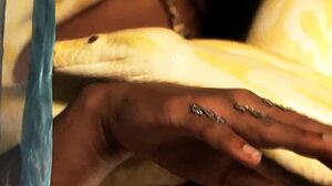 Watch this sexy bollywood lover perform solo.