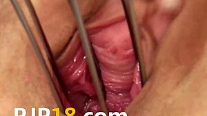 Wow! Retro Pornstars Nail Artful Sex Scene!