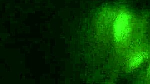 Lesha's Personal Moments