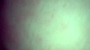 Girlfriend Rides Dick Hard Until She Cums