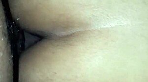 My Mexican wife on all fours, begging for more!