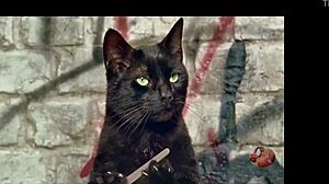 boa menina fode gostoso