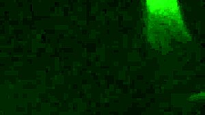 slutty milf has fun with my big black cock