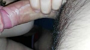 una rica mamada de mi novia gordibuena