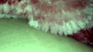 Detailed Video Of Shemale Performer Engaging In Sexual Activities On May 4th 2017