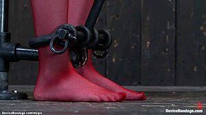 Are you into gagged redhead subs tied tight?