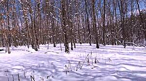 Nina Rivera and Don Whoe get steamy in snowy 4K fun