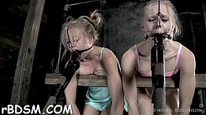 Free Sadomasochism Clips!