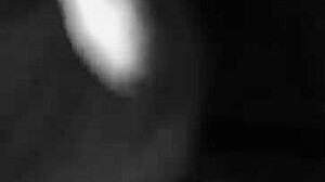 Bad Boy Bunny Dresses Up In Halloween Cosplay Costume For Musical Fun