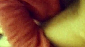 She loves sucking my cock in this casual scene