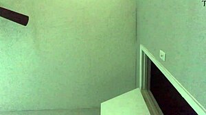 Young Cassidy Avery at 18 has her first donkey dick experience