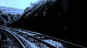 Vintage Shaved Pussy In Retro Porn!