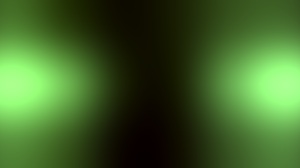 Pale Carnations Bound Adventures Await