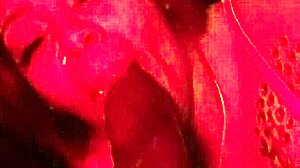 Maya making love to the dick with her wet mouth & deep throat