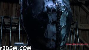 Beauty tied upside down, slit thrashed in domination scene