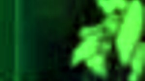 star channel 34 part 84