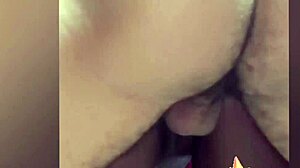 Amateur Gives Pussy and Ass on All Fours for Cum